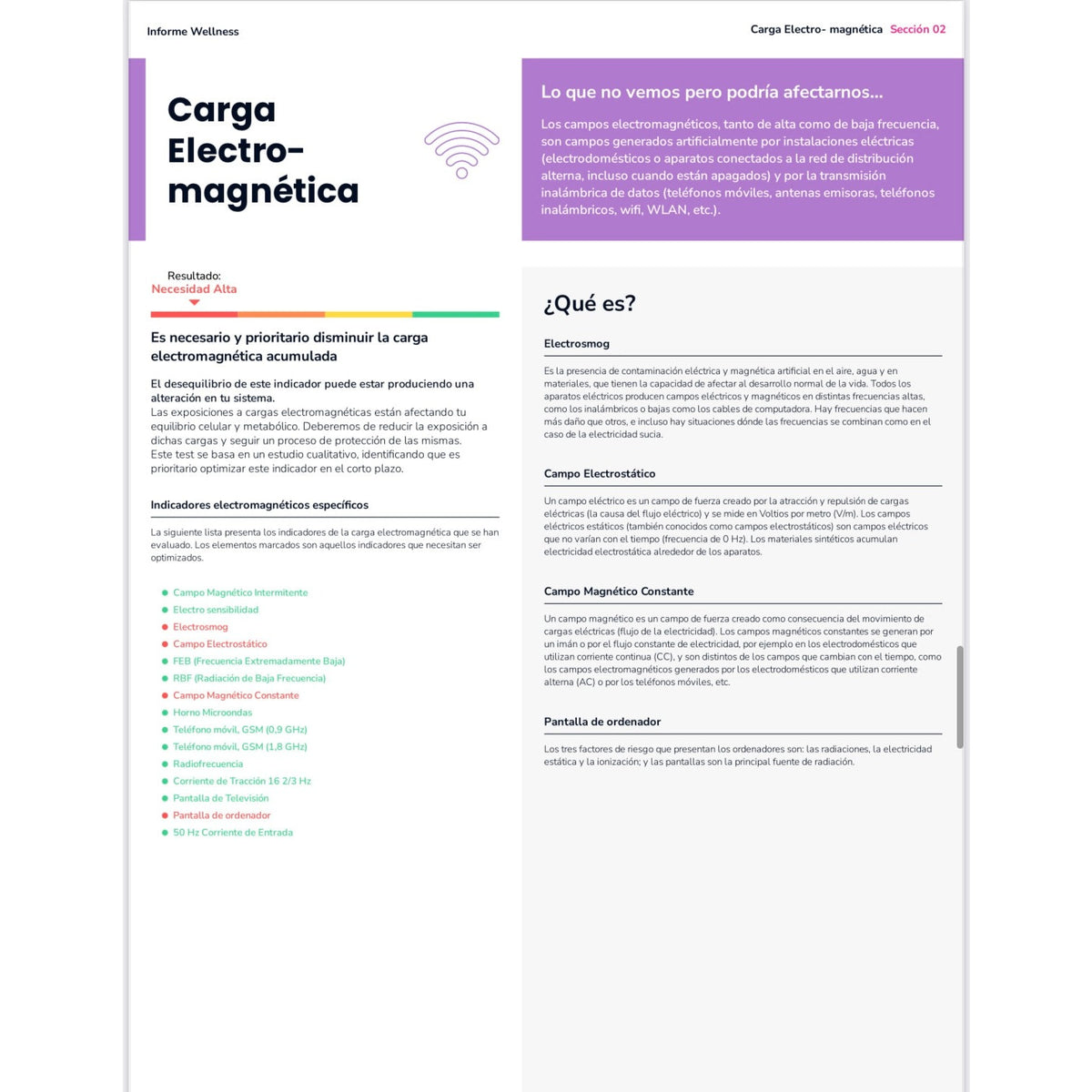 Página del informe epigenético sobre carga electromagnética