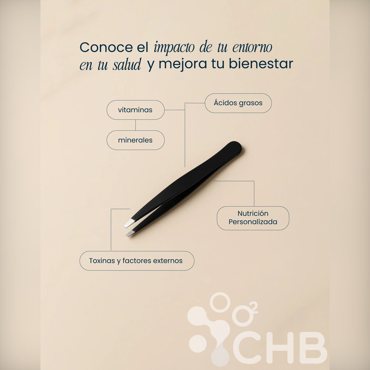Esquema de cómo el entorno impacta la salud: vitaminas, minerales, ácidos grasos y toxinas